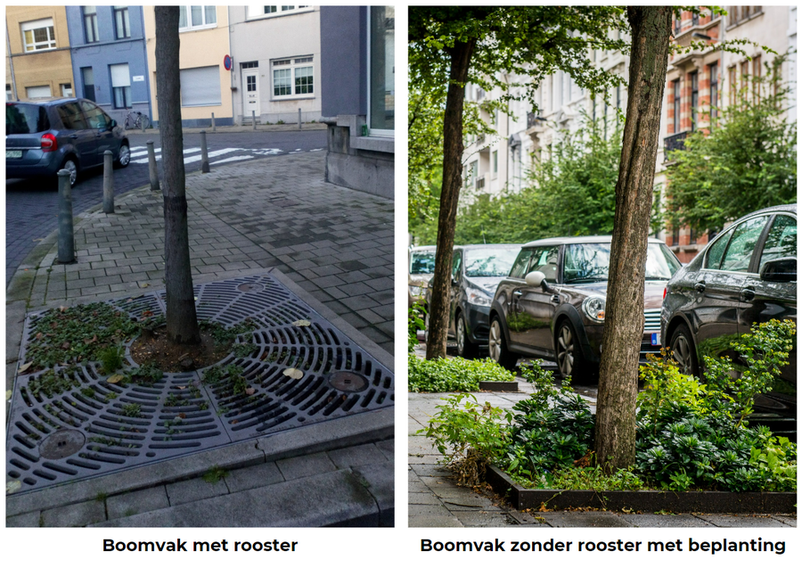 Boomvakken in district Antwerpen